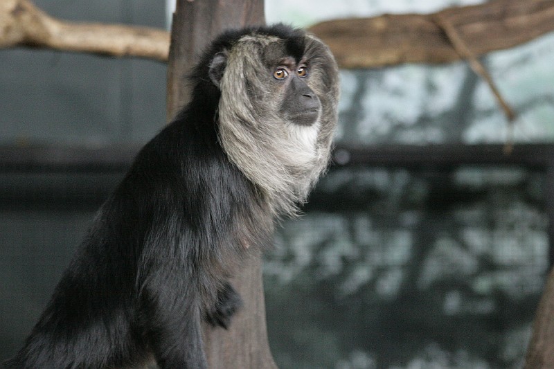 Fotoclubje Blijdorp 2008-106.jpg